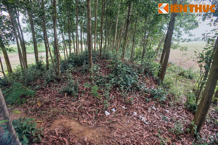 Vì sao hai tòa thành được liên kết với nhau, chức năng của từng tòa thành như thế nào vẫn là điều chưa được nghiên cứu đầy đủ.