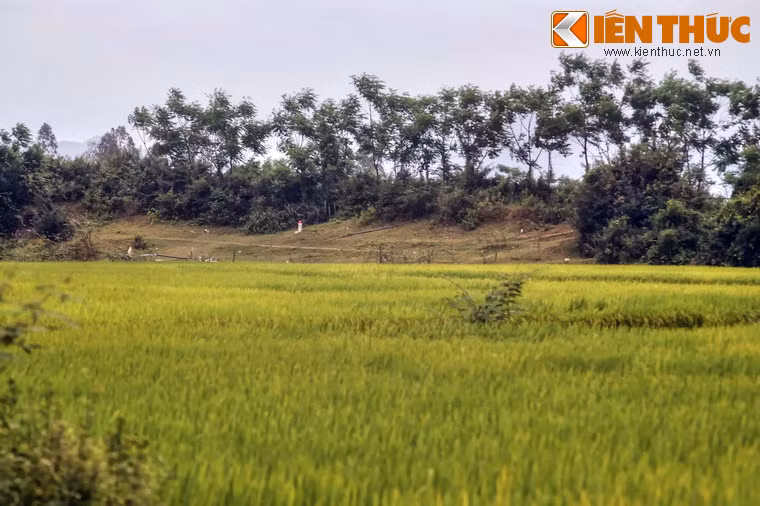 Theo các nhà nghiên cứu, tòa thành này có thể có niên đại trước thế kỷ 10, từng là trung tâm chính trị của Vijaya, một trong bốn tiểu quốc của Chăm Pa xưa, gần như đóng vai trò kinh đô trong giai đoạn từ cuối thế kỷ 10 đầu 11.