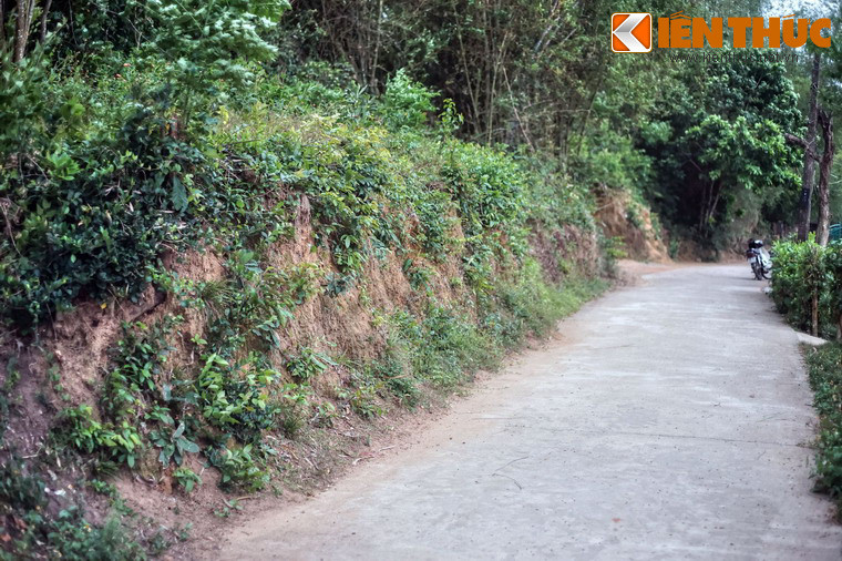 1. Nằm ở thôn Phú Bình, xã Tịnh Châu, huyện Sơn Tịnh, tỉnh Quảng Ngãi, thành cổ Châu Sa là một tòa thành cổ của vương quốc Chăm Pa xưa còn lưu lại dấu tích khá nguyên vẹn. Tòa thành này được xây dựng vào khoảng thế kỷ thứ 9, 10, là trung tâm kinh tế ở phía Nam vương quốc Chăm Pa.