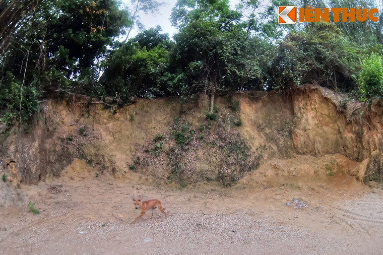 Những dấu tích còn lại cho thấy thành có hình chữ nhật, gần vuông, chạy theo hướng Bắc - Nam, với chiều dài 580m, rộng 540m. Thành có bốn cửa, mở giữa bốn phía tường thành. Có thể đây chỉ là thành nội vì theo khảo sát năm 1988 thì thành còn có hai gọng kìm và vòng thành ngoài rất rộng.