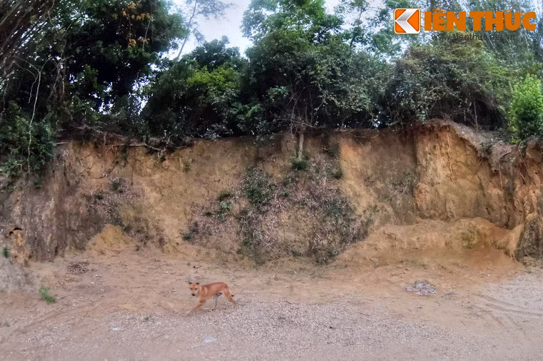 Những dấu tích còn lại cho thấy thành có hình chữ nhật, gần vuông, chạy theo hướng Bắc - Nam, với chiều dài 580m, rộng 540m. Thành có bốn cửa, mở giữa bốn phía tường thành. Có thể đây chỉ là thành nội vì theo khảo sát năm 1988 thì thành còn có hai gọng kìm và vòng thành ngoài rất rộng.