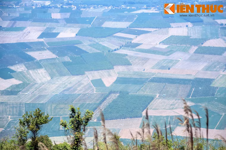 Nhìn từ trên cao, những thửa ruộng dưới chân núi mang diện mạo khác lạ với những đường kẻ vuông vắn như ô bàn cờ.