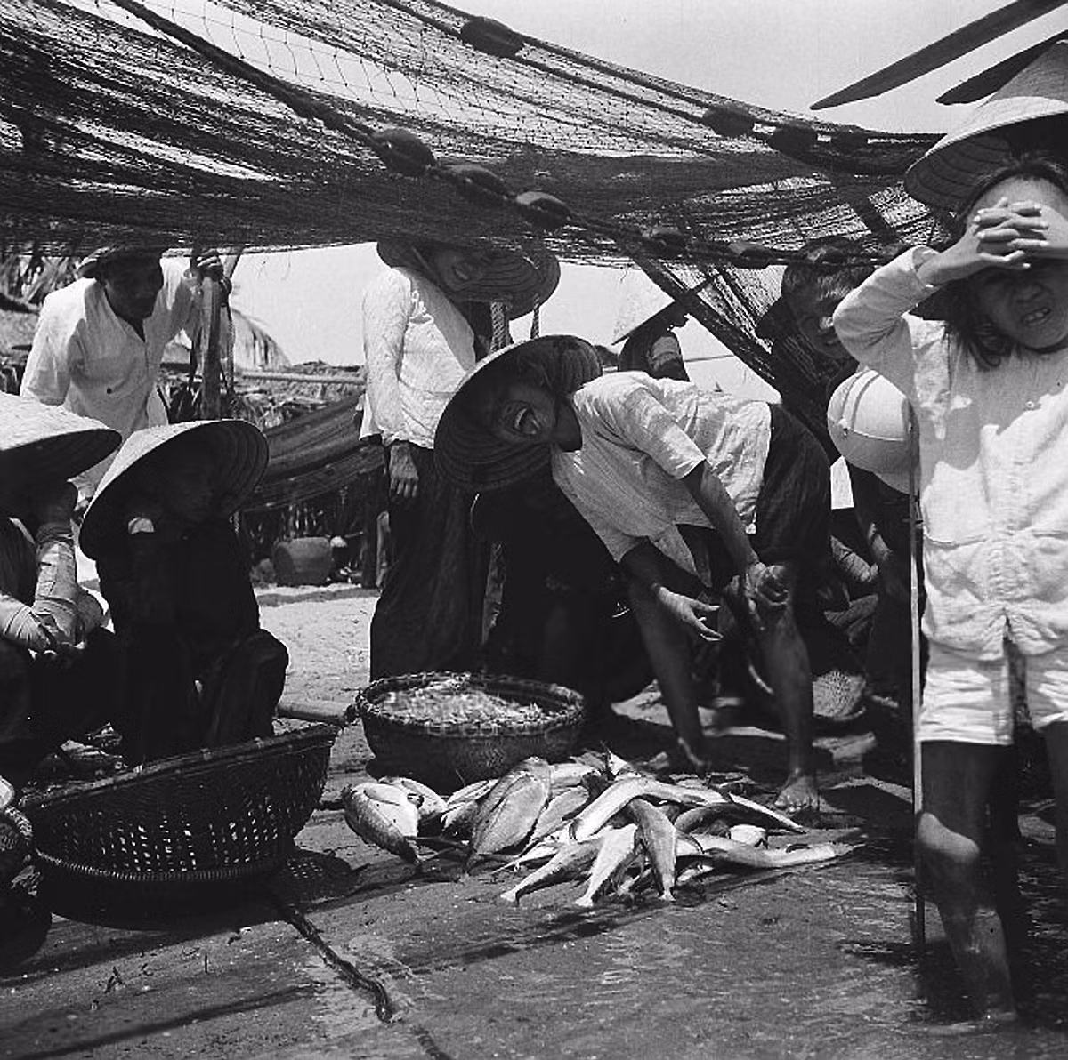 Cá tươi được bày bán ở chợ cá Nha Trang. Ảnh: Michel Huet/ Getty.
