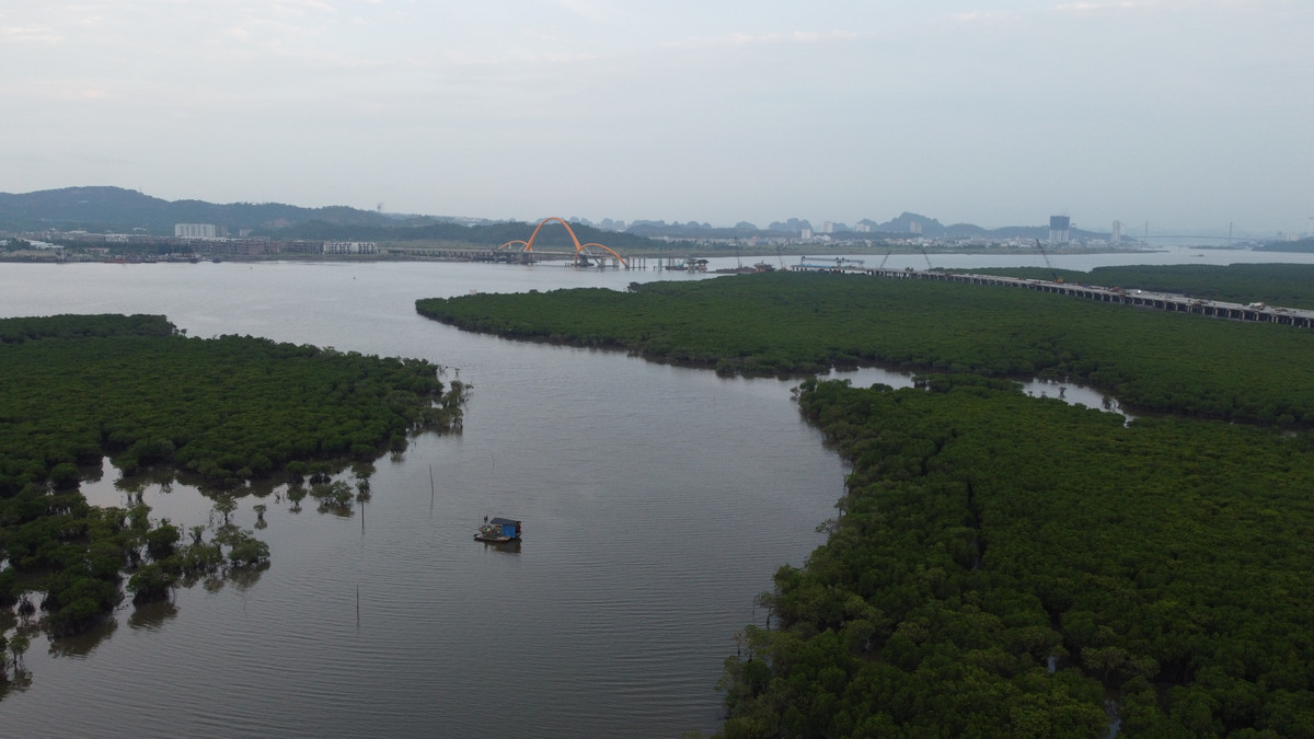 Dự án được đặt tiến độ hoàn thành trong tháng 9/2023, hướng tới chào mừng kỷ niệm 60 năm ngày thành lập tỉnh Quảng Ninh 30/10 (1963-2023). Mới đây, chính quyền TP. Hạ Long đã đề nghị đặt tên cầu Bình Minh cho công trình cầu Cửa Lục 3.