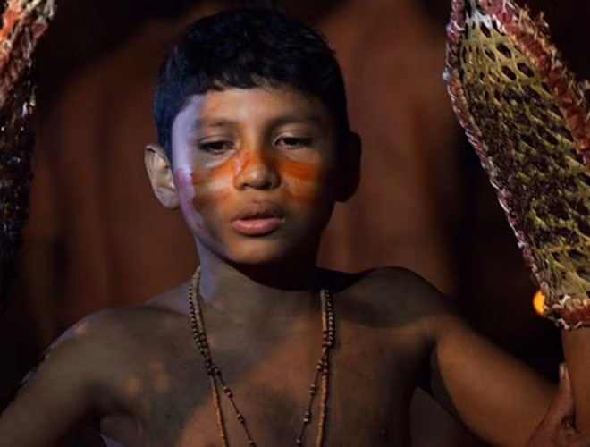 Những chàng trai cho hai tay vào găng tay trong vòng 10 phút để những con kiến đạn tấn công. Theo quan niệm của người Satera Mawe, nếu một cậu bé có thể chịu đựng được những cú cắn từ da thịt từ kiến đạn thì mới chứng tỏ được bản lĩnh nam nhi và sẽ là trụ cột của gia đình sau này.