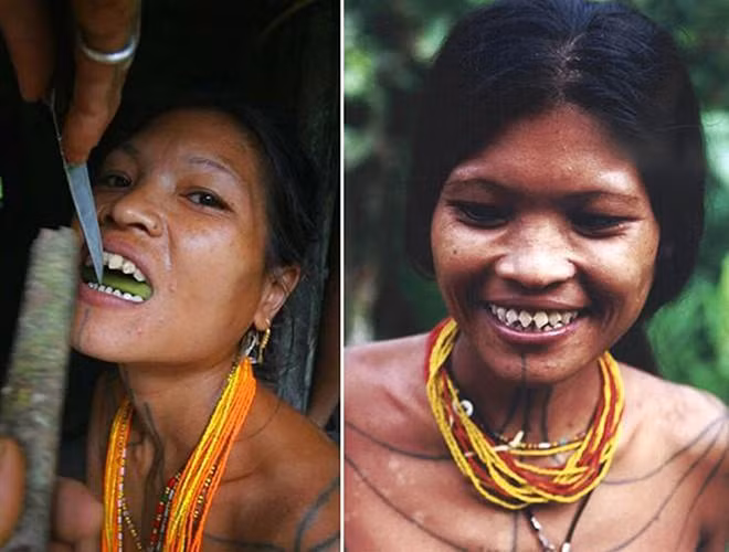 Hàm răng sau khi mài sẽ gần giống như hàm cá mập với những chiếc răng nhọn hoắt. Khi răng đã có một độ nhọn nhất định, họ được coi là đã trưởng thành và sẵn sàng kết hôn.