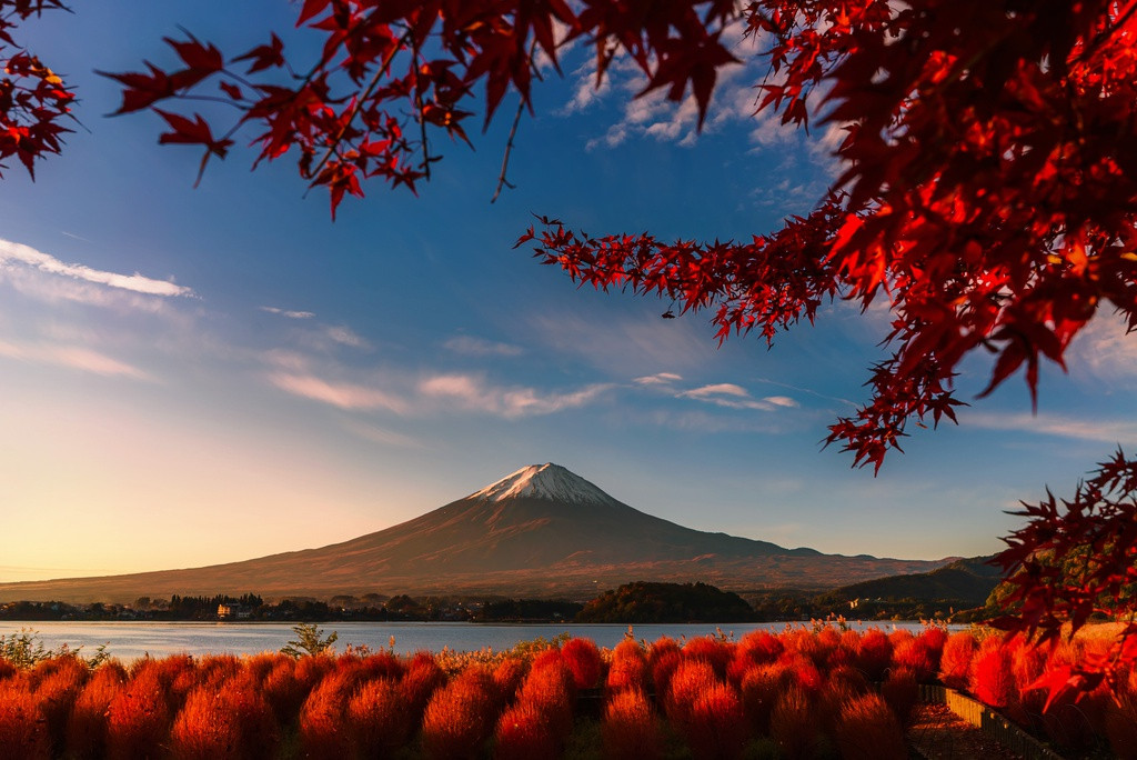 Ảnh phơi trà Việt Nam lọt top giải thưởng nhiếp ảnh quốc tế Sony - Hình 10 Anh phoi tra Viet Nam lot top giai thuong nhiep anh quoc te Sony-Hinh-10