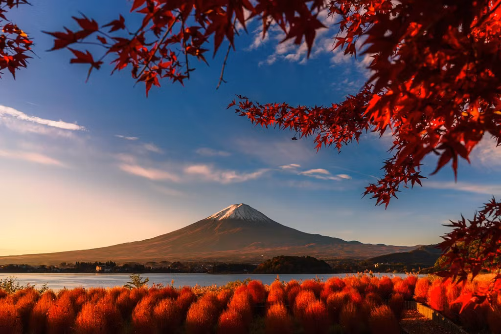 Anh phoi tra Viet Nam lot top giai thuong nhiep anh quoc te Sony-Hinh-10