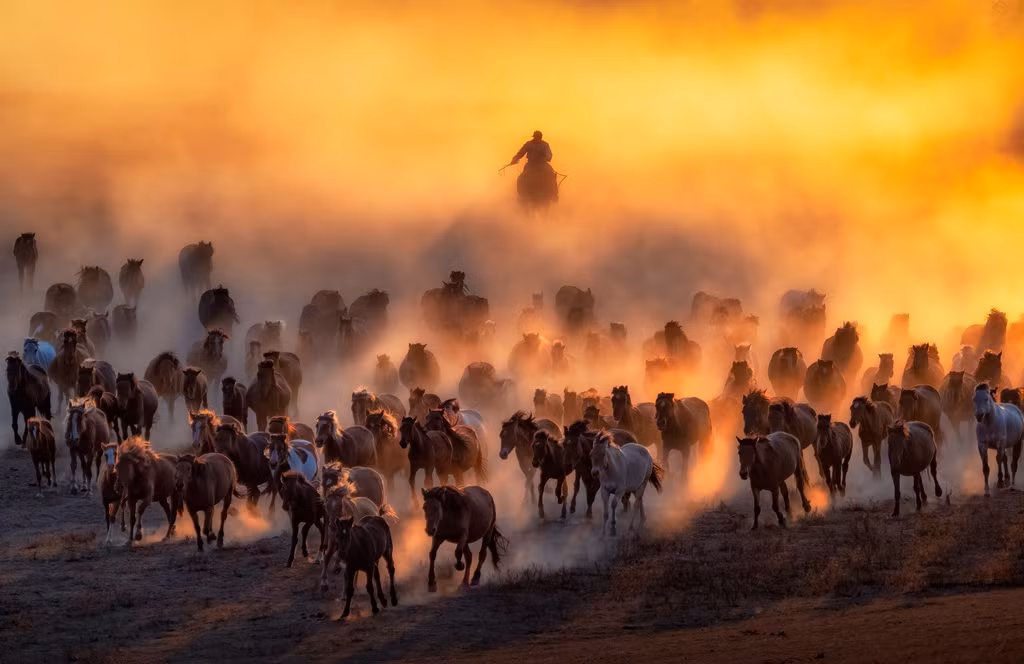 Anh phoi tra Viet Nam lot top giai thuong nhiep anh quoc te Sony-Hinh-2