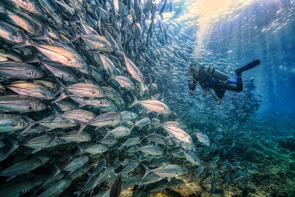 Ảnh phơi trà Việt Nam lọt top giải thưởng nhiếp ảnh quốc tế Sony - Hình 3 Anh phoi tra Viet Nam lot top giai thuong nhiep anh quoc te Sony-Hinh-3