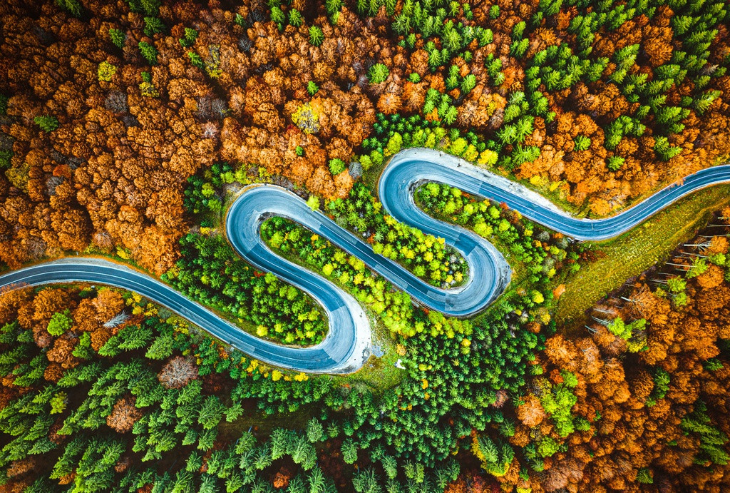 Ảnh phơi trà Việt Nam lọt top giải thưởng nhiếp ảnh quốc tế Sony - Hình 5 Anh phoi tra Viet Nam lot top giai thuong nhiep anh quoc te Sony-Hinh-5