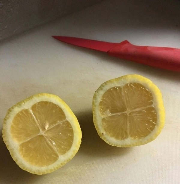 Quả chanh hình vuông chia thành 4 phần bằng nhau, một điều cực hiếm gặp trong tự nhiên.