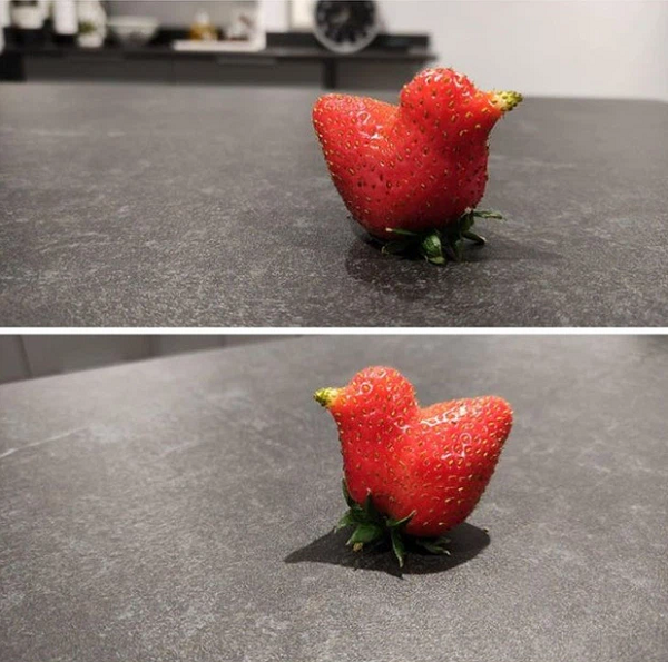 Một trái dâu được mẹ thiên nhiên sinh ra với hình dáng... chú chim bé xinh!