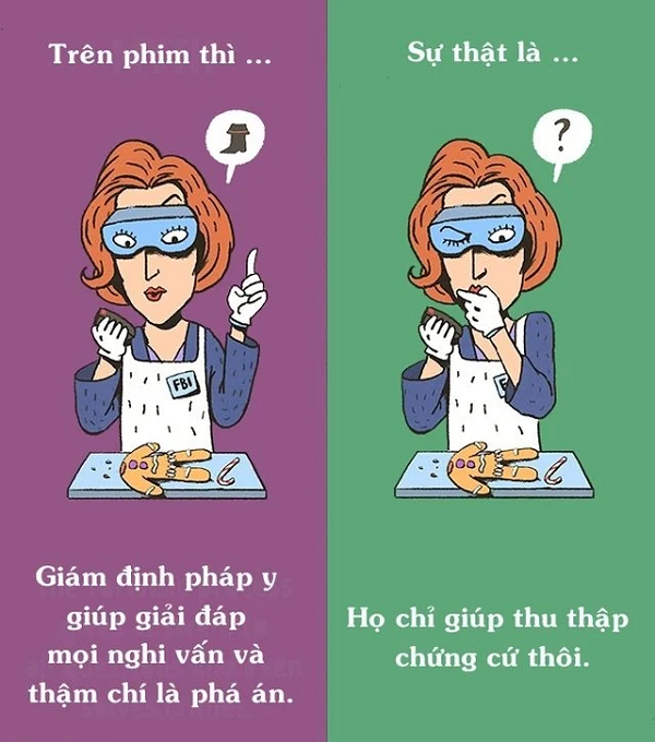 Hóa ra giám định pháp y không quá "thần thánh" như trên phim.