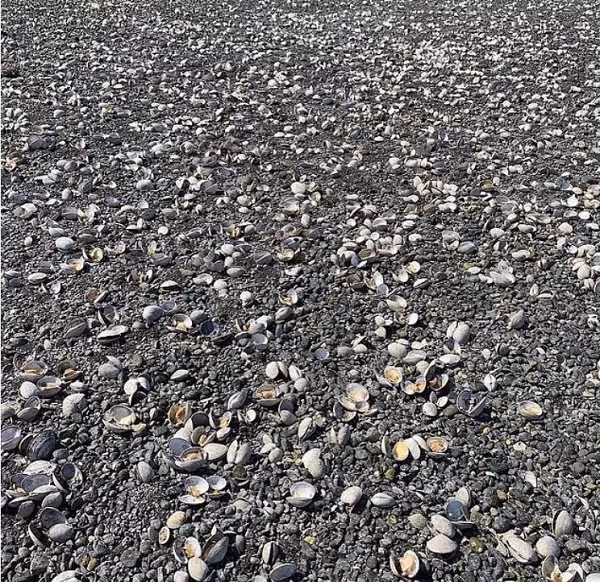 Nhiệt độ tăng mạnh ở khu vực vốn thường không bị nắng nóng trước đó là tín hiệu cảnh báo rõ ràng về tính cấp bách của nhiệm vụ giải quyết cuộc khủng hoảng khí hậu.