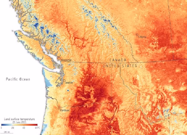 Nền nhiệt đạt đỉnh kết hợp độ ẩm tăng cao gây tình trạng nguy hiểm. Độ ẩm cao làm chậm quá trình bốc hơi, hay đổ mồ hôi, được biết đến như một cơ chế tự động làm mát của cơ thể.