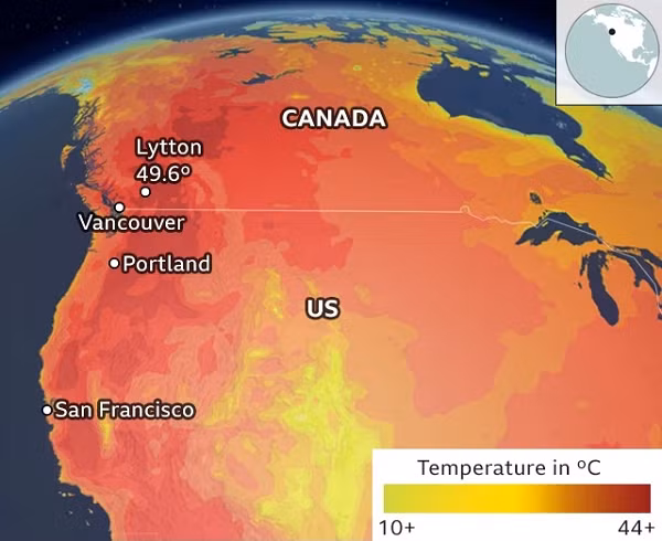 Những ngày vừa qua, khu vực Tây Bắc Mỹ đang phải hứng chịu đợt nắng nóng chưa từng có trong lịch sử. Các kỷ lục về nhiệt độ ở Mỹ và Canada liên tục bị phá vỡ.