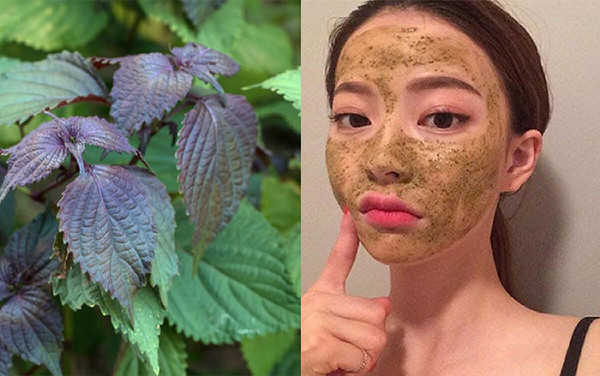 Nau nuoc la nay roi vat nua qua chanh, da mat bay sach nam-Hinh-3