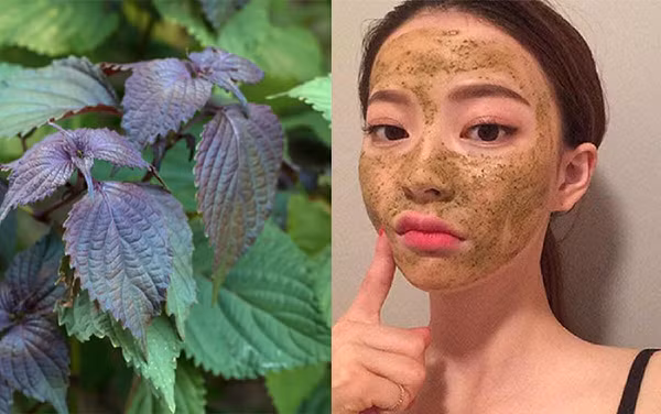 Nau nuoc la nay roi vat nua qua chanh, da mat bay sach nam-Hinh-3