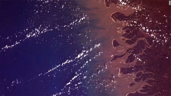 Sông Rio Gurupi, Brazil là một phần của khu bảo tồn sinh học Gurupi. Dòng sông chảy qua một vùng đồng bằng giáp biển, nơi có hệ sinh thái sinh động, bao gồm hàng chục đảo nhỏ, rừng ngập mặn, cồn cát, đầm, phá và bãi biển.