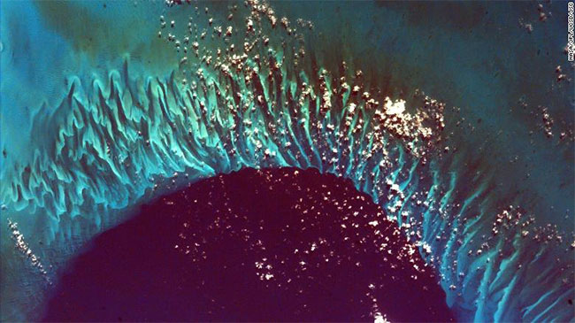 Bờ biển Grand Bahama. Hình ảnh là một khu vực nước sâu của Tongue of the Occean - một hẻm núi dưới nước.