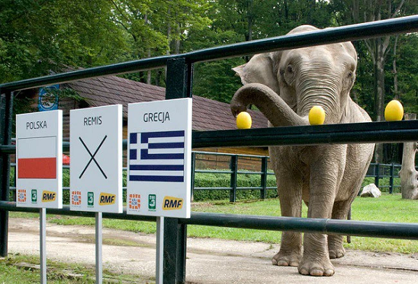 Chú voi Citta là "cư dân" của vườn thú Krakow ở Ba Lan. Hơn 10.000 người đã chọn Ciita làm nhà tiên tri hay con vật tâm linh cho World Cup 2018. Báo chí Ba Lan cho biết, Citta dự đoán bằng cách chọn trái cây tương ứng với quốc kỳ. Nó đã dự đoán chính xác Ba Lan sẽ thắng Lithuania trong trận giao hữu.