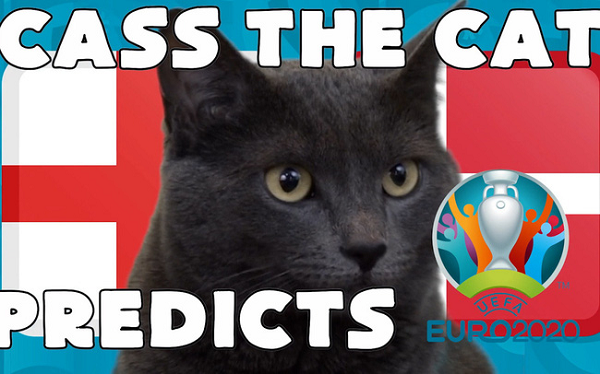 Chú mèo tiên tri Cass cũng tiếp tục trổ tài dự đoán kết quả trận chung kết EURO 2021 giữa Ý vs Anh, diễn ra vào lúc 2h00 ngày 12/7 và lần này chú đã chọn đội chủ nhà là Anh.