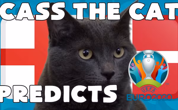 Chú mèo tiên tri Cass cũng tiếp tục trổ tài dự đoán kết quả trận chung kết EURO 2021 giữa Ý vs Anh, diễn ra vào lúc 2h00 ngày 12/7 và lần này chú đã chọn đội chủ nhà là Anh.