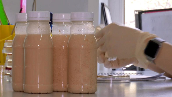 Viện Y học Thực nghiệm Saint-Peterburg đang triển khai thử nghiệm tiền lâm sàng loại vắc xin chống virus SARS-CoV-2 uống được đầu tiên trên thế giới dưới dạng sữa lên men.