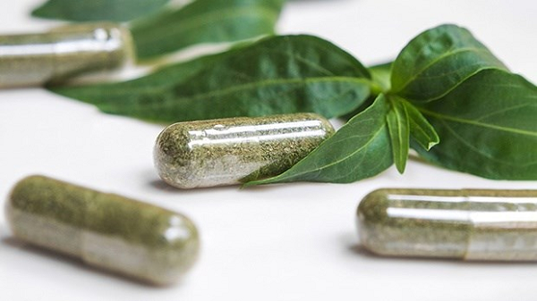 Xuyên tâm liên còn được gọi là cây cồng cộng, khổ đảm thảo... có tên khoa học là Andrographis paniculata (Burm.f.) Wall. ex Nees, được coi như một loại kháng sinh thực vật.