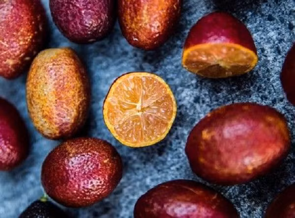 Chanh đỏ lai giữa chanh ngón tay đỏ (red finger lime) ở Australia và một loại quýt lai có tên là Ellendale Mandarin. Quả chanh lai có ruột màu vàng đỏ, vỏ đỏ hoặc xanh, kích thước nhỏ và dài hơn chanh thông thường.