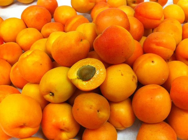 Quả lai giữa mận và mơ có vị và màu sắc giống mận nhưng có phần vỏ và ruột giống mơ.