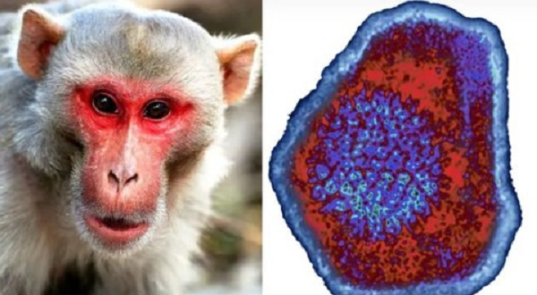 Trung tâm Kiểm soát và Phòng ngừa Dịch bệnh Trung Quốc (CDC) cho biết nạn nhân làm việc trong một viện nghiên cứu chuyên nhân giống linh trưởng. Ông này được cho là đã phẫu thuật hai con khỉ chết vào tháng 3.