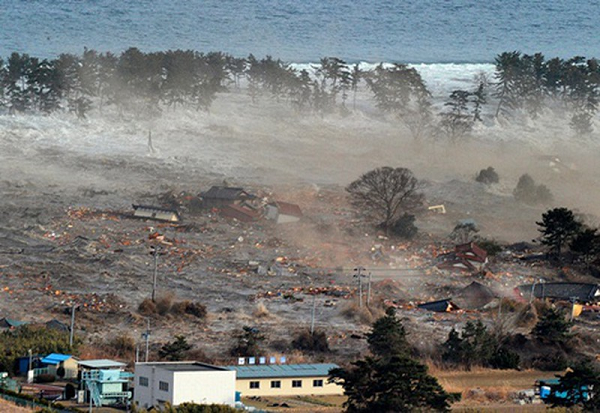 Vì động đất xảy ra rất bất ngờ cũng như tính chất nguy hiểm của nó, trong khi chúng ta không thể làm gì để ngăn chặn nó, nên cách duy nhất để đối phó là làm sao để giảm đến mức tối đa thiệt hại mà động đất gây nên.