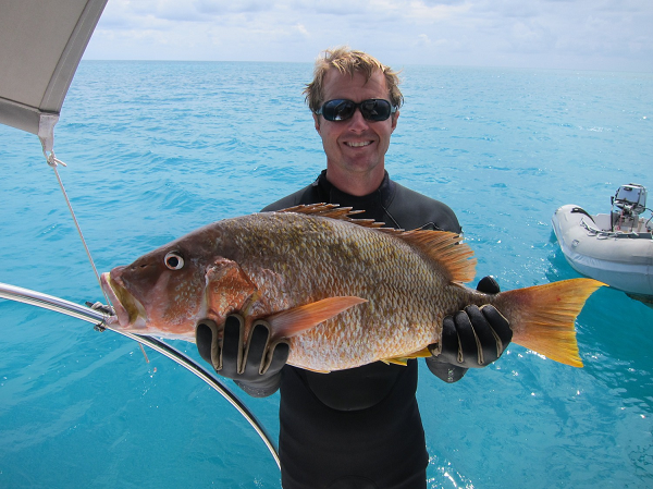 Những quả trứng đó, sau khi nở thành ấu trùng, sẽ bị bỏ lại để trôi dạt tự do trong nước biển, nhiều cá thể xấu số sẽ bị nuốt chửng bởi những kẻ săn mồi lớn hơn – nhưng những con non may mắn hơn vẫn có thể tồn tại được cho đến khi chúng trưởng thành.