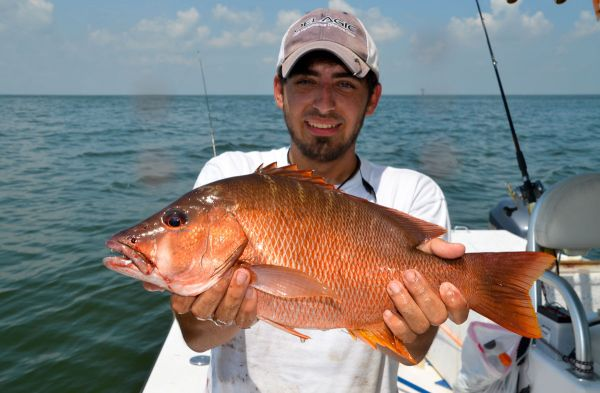 Loài cá này có vẻ ngoài vô cùng dữ tợn với hàm răng nanh lớn, được đặt ở phía hàm trên mà chúng ta có thể dễ dàng nhìn thấy ngay cả khi miệng của chúng bị đóng lại.