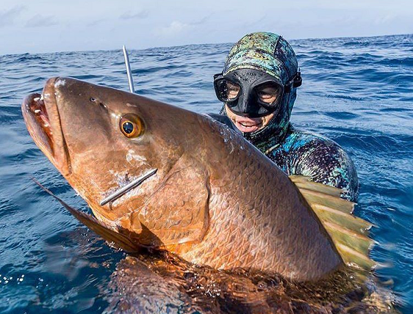 Chúng cũng tiêu thụ luôn lượng độc tố có trong đó và chuyển hóa luân phiên để biến thành chất độc của mình.