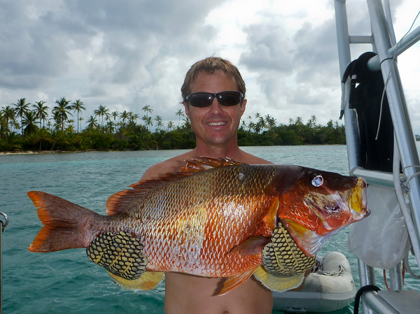 Đặc biệt, cá hồng chó không tạo ra chất độc nhưng chúng có thể tích tụ các chất độc hại từ độc tố ciguatera theo cách hoạt động của chuỗi thức ăn.