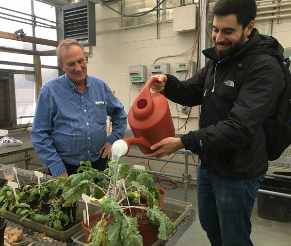 Về cơ bản, điều kiện trên sao Hỏa không có mây, không có mưa như ở Trái đất. Vì vậy, về tổng thể, chỉ nhận được khoảng 60% tổng năng lượng ánh sáng trong năm.