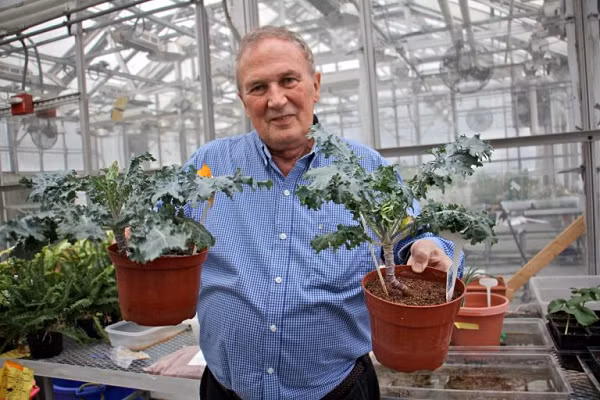 Giáo sư vật lý thiên văn và khoa học hành tinh Edward Guinan đã tiến hành thử nghiệm để xem thứ gì có thể phát triển trên sao Hỏa trong một góc của nhà kính tại Đại học Villanova, ngoại ô Philadelphia, bang Pennsylvania, Mỹ.