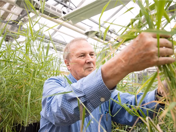 Trời tối hơn, không khí lạnh hơn và bề mặt sao Hỏa được bao phủ bởi một thứ gọi là regolith (lớp đất mặt). Đây là một loại đất giàu sắt khiến nó có màu đỏ đặc trưng, nhưng cũng bị nhiễm peclorat.