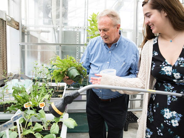 Dù không sử dụng đất của sao Hỏa bởi chưa có mẫu nào được trả về Trái đất, nhưng các nhà khoa học NASA và Phòng thí nghiệm sức đẩy phản lực đã mô phỏng lớp đất mặt của sao Hỏa và có thể mua trực tuyến.