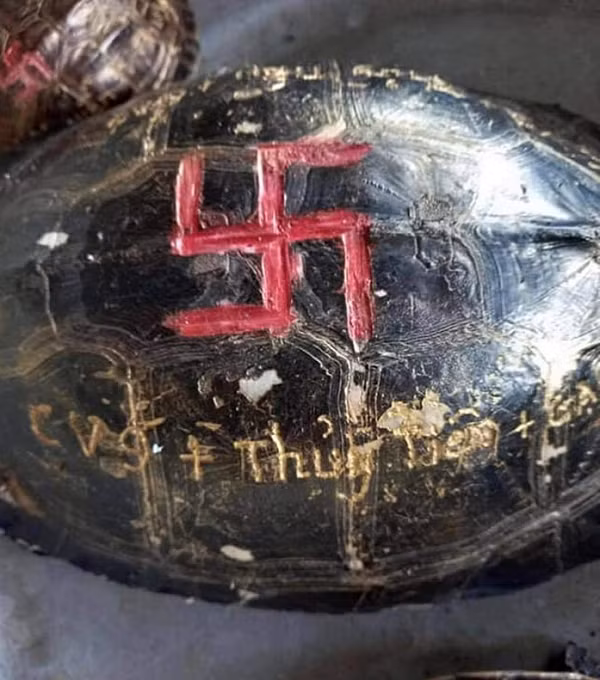 Theo hình ảnh đăng tải, gia đình Thủy Tiên khắc tên trên mai rùa, bao gồm: tên của Công Vinh (CV9), Thuỷ Tiên và bé Gạo. Chính điều này khiến nhiều cho rằng đây là hành động hành hạ động vật. Vậy bên trong chiếc mai của rùa có chứa gì, hành động khắc tên có ảnh hưởng gì con rùa không?