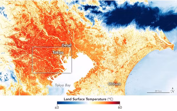Theo cơ quan Cơ quan Hàng không Vũ trụ Mỹ, Tokyo đang trải qua đảo nhiệt đô thị (urban heat island) và có thể khiến Olympic Tokyo 2020 có thể là kỳ Thế vận hội nóng nhất lịch sử.