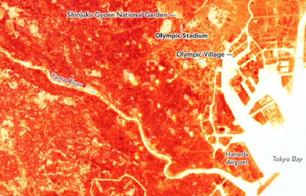 Theo ghi nhận, nhiệt độ không khí tại Tokyo đạt 34 độ C từ khi sự kiện bắt đầu, có thể sẽ giảm một chút khi có bão nhiệt đới ập đến. Tuy nhiên khi cơn bão qua đi, nhiệt độ sẽ lại vô cùng nóng bức.