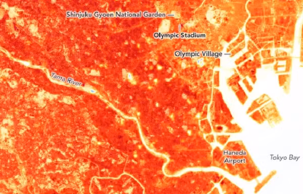 Theo ghi nhận, nhiệt độ không khí tại Tokyo đạt 34 độ C từ khi sự kiện bắt đầu, có thể sẽ giảm một chút khi có bão nhiệt đới ập đến. Tuy nhiên khi cơn bão qua đi, nhiệt độ sẽ lại vô cùng nóng bức.