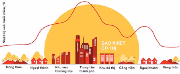 Có nhiều nguyên nhân dẫn đến sự biến đổi bất thường của điều kiện thời tiết, khí hậu nhưng trực tiếp và sâu xa là do hoạt động sống của con người, làm gia tăng hàm lượng khí nhà kính dẫn đến gia tăng hiệu ứng nhà kính của khí quyển.