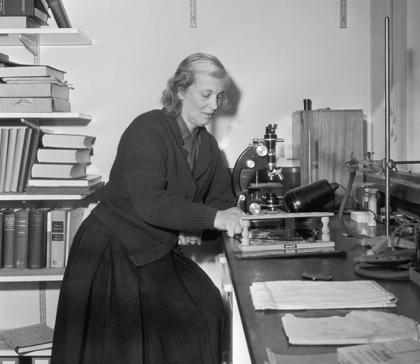 Dorothy Hodgkin (1910 - 1994) là người phát hiện ra cấu trúc phân tử của penicillin, vitamin B12 và insulin. Công trình của bà giúp vẽ ra những bản đồ protein phức tạp đã được đón chào như một thành tựu vĩ đại.