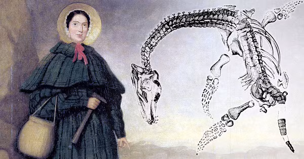 Mary Anning (1799 - 1847) là người khai quật được những phần xương khổng lồ của loài thằn lằn cá, plesiosaurs hay thằn lằn bay vào khoảng năm 1809 - 1829. Những đóng góp của Mary đã giúp giải quyết nhiều tranh cãi về sự tuyệt chủng và trở thành ý tưởng sáng lập ra lĩnh vực cổ sinh vật học.