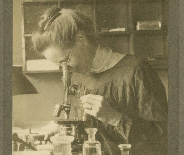 Nettie Stevens là người đầu tiên khám phá tầm quan trọng của nhiễm sắc thể Y trong việc xác định giới tính của một loài nhất định. Giới khoa học trước đó cho rằng, mẹ và các yếu tố môi trường xác định giới tính của một người.